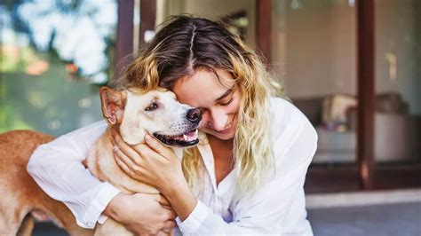 A Safer Future For Animals: Croatia Criminalises Pet Abandonment ...