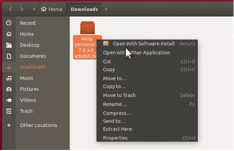 Wing Python IDE 的图像结果