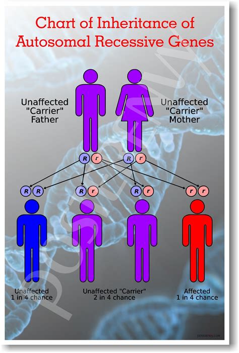 Recessive Traits