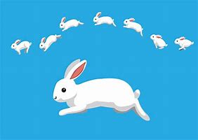 Image result for Cartoon Bunny Jumping