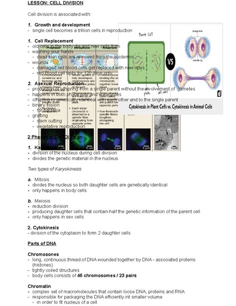 Free Lesson Biology Cell Divison 的图像结果