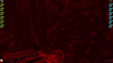 Image result for Alien vs Predator 2 CDA