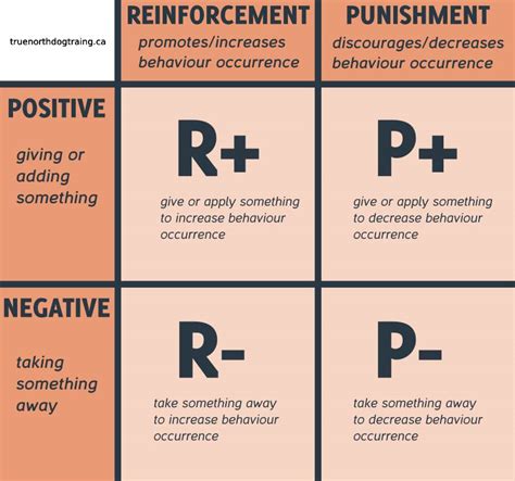 Image result for Quadrants of Operant Conditioning