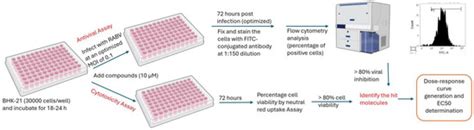 Homoharringtonine Inhibits CVS-11 and Clinical Isolates of Rabies Virus ...