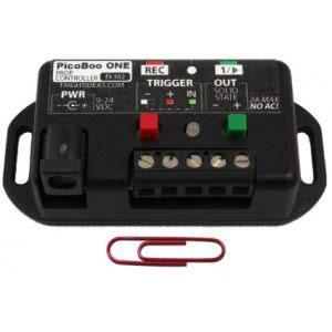 Program PicoBoo 的图像结果