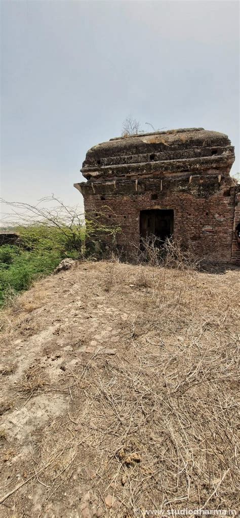 Exploring the Forgotten Legacy of Pinahat Fort. - Studio Dharma