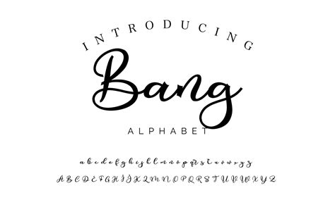 Image result for Sign Lettering Script Fonts