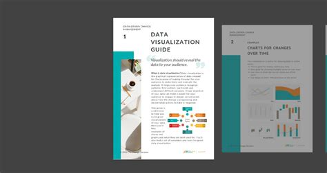Visualization Guide 的图像结果