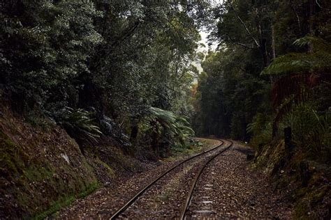 Cryptic Falls Express - West Coast Wilderness Railway