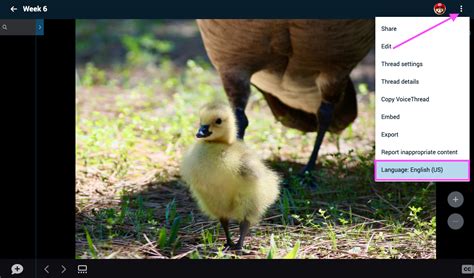 Language Preferences Setting 的图像结果