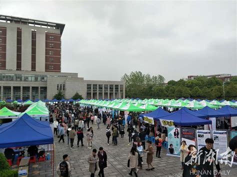 长沙理工大学举行春招双选会 多举措促毕业生就业 - 教育资讯 - 新湖南