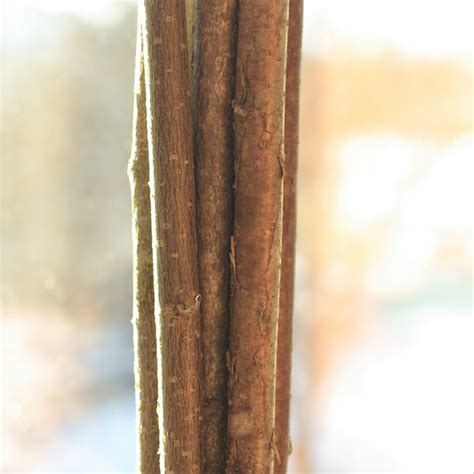 Buy Natural Wood Sticks Online In India - Etsy India