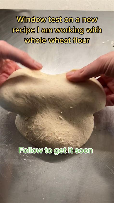 Window test on a new pizza recipe I am working on with whole wheat flour...