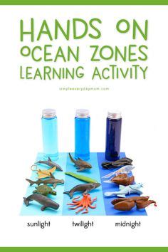 67 PreK Ocean ideas | ocean theme preschool, ocean activities, ocean themes