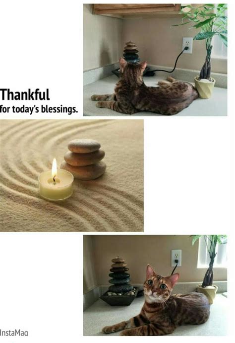 Fire Element 的图像结果