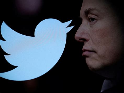 Musk says owning Twitter ‘has not been some sort of a party’ | Social ...