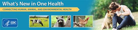 Image result for One Health CDC