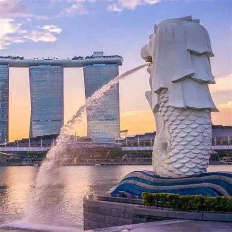 新加坡留学 | 新加坡（6大公立大学）本科申请要求汇总，2020年更新！ - 知乎