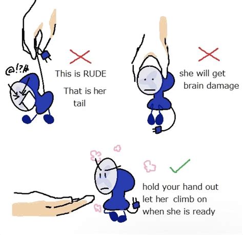 Image result for How to Use Fanny Tutorial