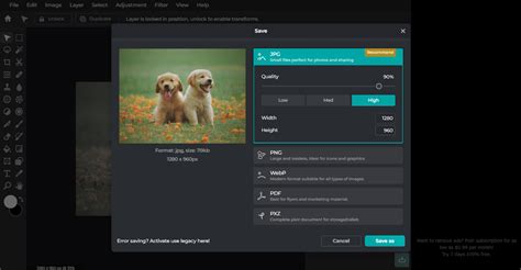 Image result for Pixlr Software