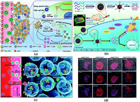 Tissue engineering Applications 的图像结果