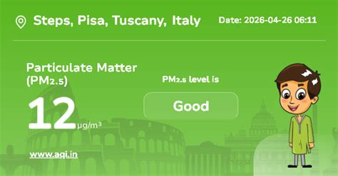 Steps Particulate Matter (PM2.5) Level: Real-Time Air Pollution Alerts