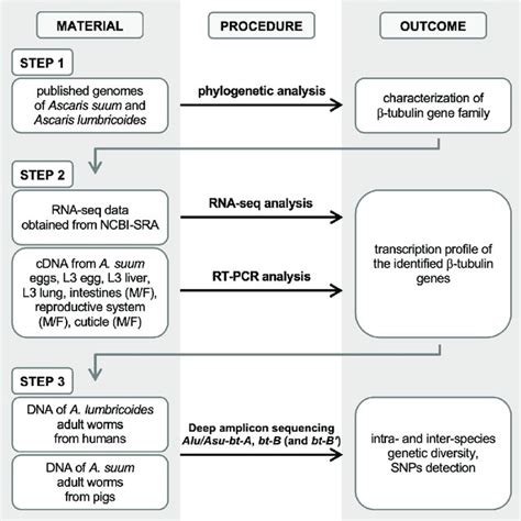 RNA Sequencing 的图像结果