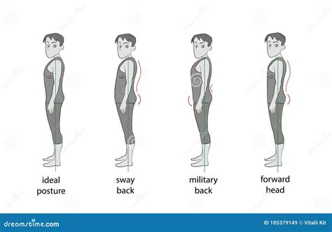 Different Types of Posture 的图像结果