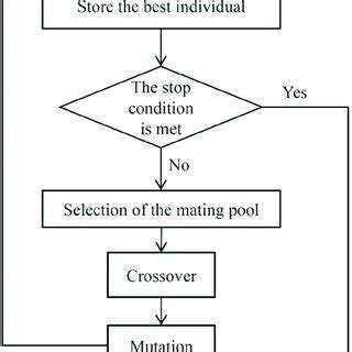 Image result for Genetic Algorithm Python Flowchart