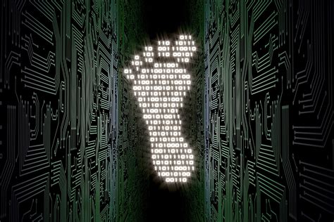 Digital Footprint Photography 的图像结果