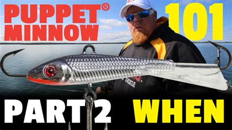 Image result for Puppet Minnow for Spring Perch