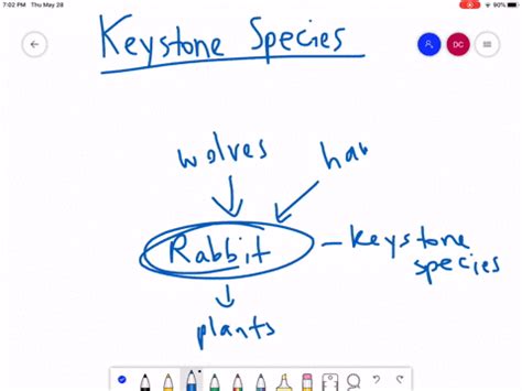 Image result for Competitive Exclusion Example Abingdon Tortoise
