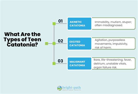 Teen Catatonia: Symptoms, Triggers, Causes, and Treatment Modalities - Bright Path Adolescent ...