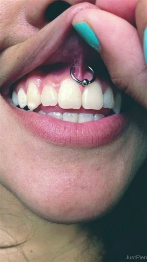 Frenulum Piercing: A Complete Expert Guide! | Piercing, Makyaj, Kaş