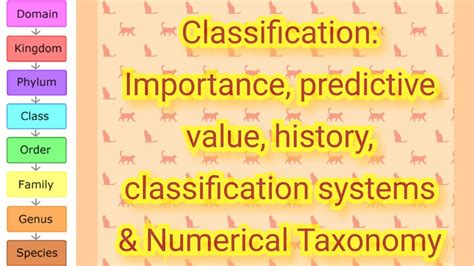 Image result for Numerical Classification System