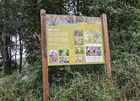 Cheddar Gorge Cliff-top Walk - All You Need to Know BEFORE You Go