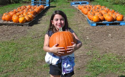 Family Fun: Apple Picking At Seven Ponds Farm In Water Mill! - KDHamptons