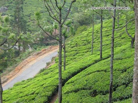 Ooty Tourist Attractions in and around - Tamil Nadu, India: The ...