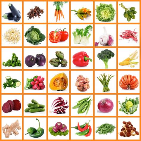 Buy Desi Vegetables and Flowers Seeds Combo pack Online | Sams Garden ...