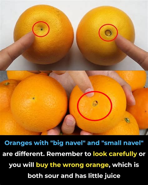 Large Navel Oranges vs Small Navel Oranges