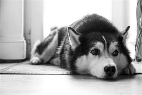 gregsdoma.in - Things made by Greg Thomas