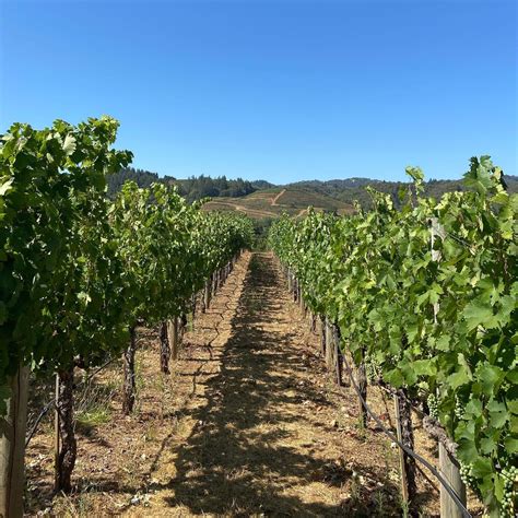 CAST Wine Dinner — Defiance Ridge Vineyards