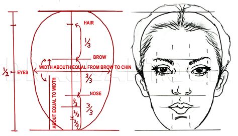 Image result for Face Features