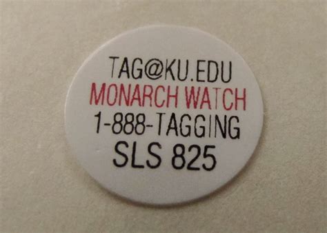 Monarch Tagging Program 的图像结果