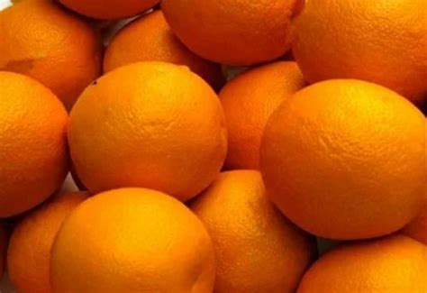 Image result for Mini Orange Tutorial