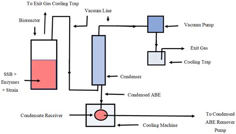 Cellulosic Butanol Biorefinery: Production of Biobutanol from High ...
