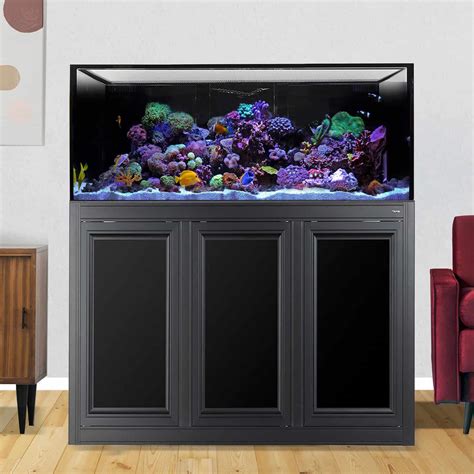 100 Gallon Fish Tank: Our Top 3 Choices On A Budget