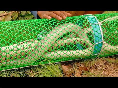 How to Make a Snake Trap Easy 的图像结果