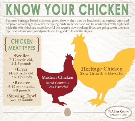 Image result for Chicken Fried Tutorial
