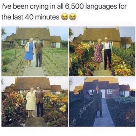 Crying Multilanguage 的图像结果